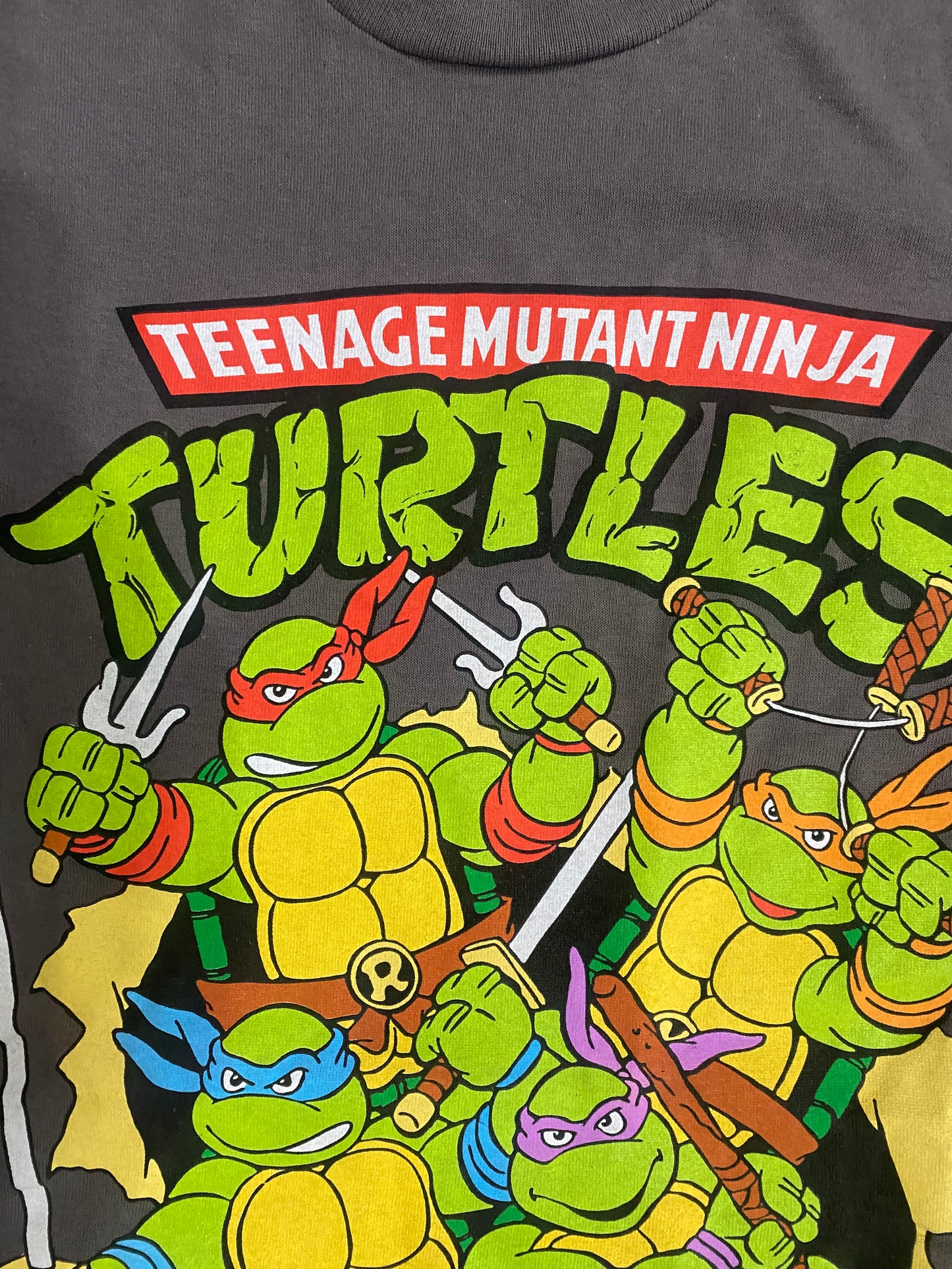 Teenage mutant ninja turtle t-shirt