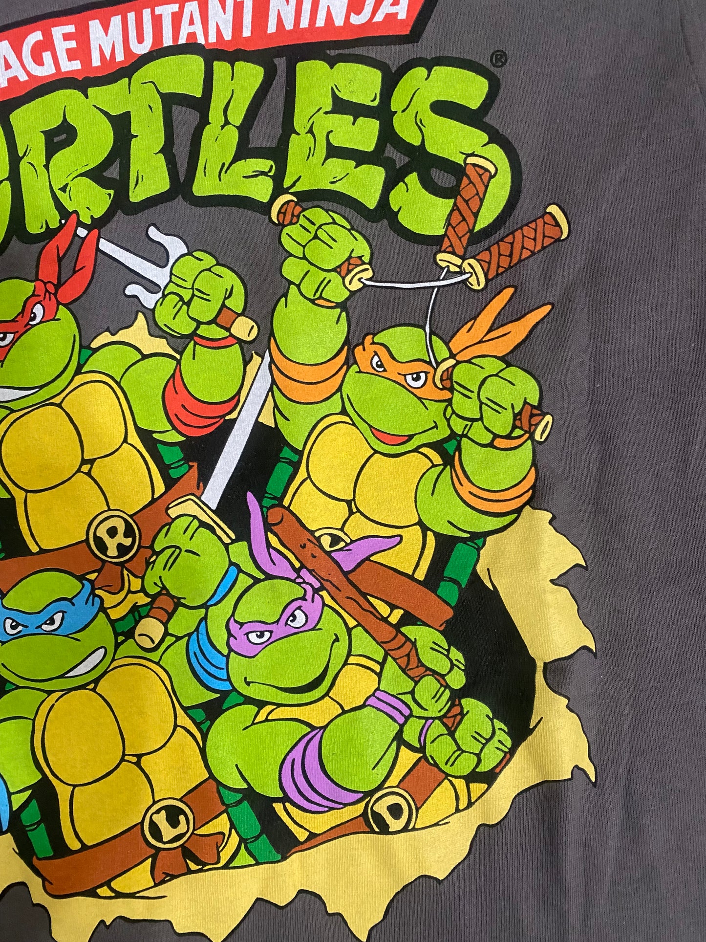 Teenage mutant ninja turtle t-shirt