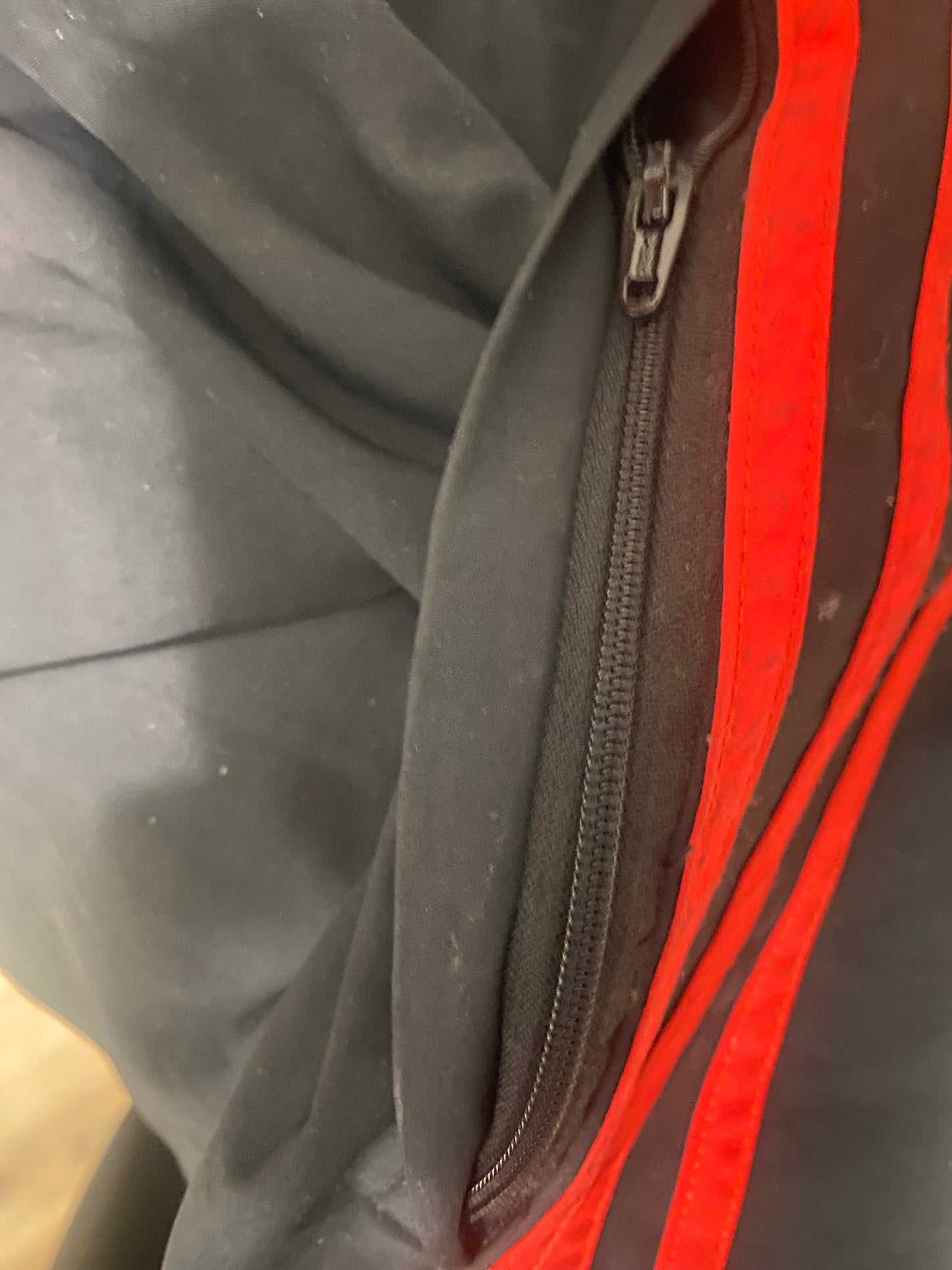 “Predator” adidas joggers