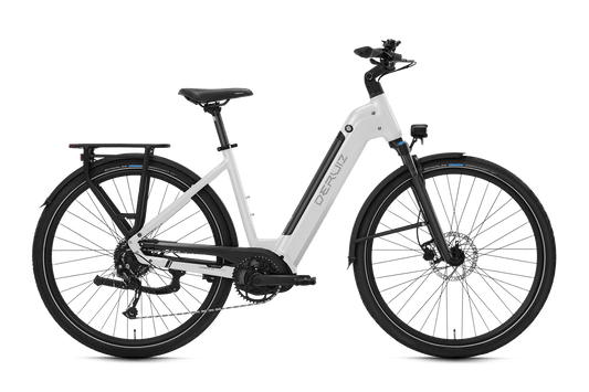 Deruiz Mica G Trekking E-Bike - Einsteiger E-Bike